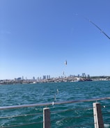 A fishing rod is held over a body of water, with multiple small fish caught on the line. There is a railing in the foreground along a waterfront, and a city skyline is visible in the distance. The water appears choppy with waves.