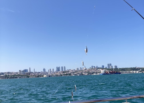 A fishing rod is held over a body of water, with multiple small fish caught on the line. There is a railing in the foreground along a waterfront, and a city skyline is visible in the distance. The water appears choppy with waves.