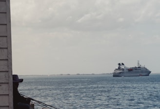 A person sits on a dock, fishing with a rod while a large cruise ship sails in the background over the calm ocean waters. The sky is partly cloudy, and the scene conveys a sense of tranquility and leisure.
